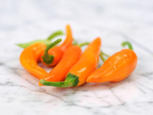 thai super chili hybrid hot pepper reviews seedratings com thai super chili hybrid hot pepper reviews seedratings com