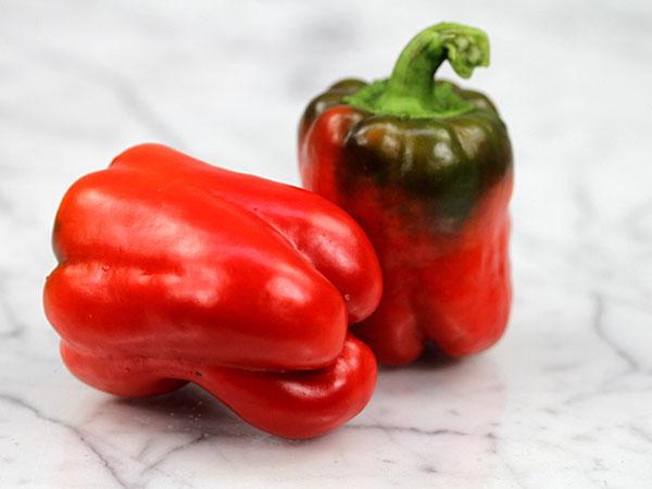 golden california wonder sweet pepper reviews golden california wonder sweet pepper reviews