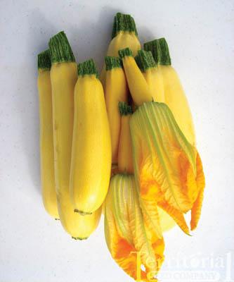 Cube of Butter Squash